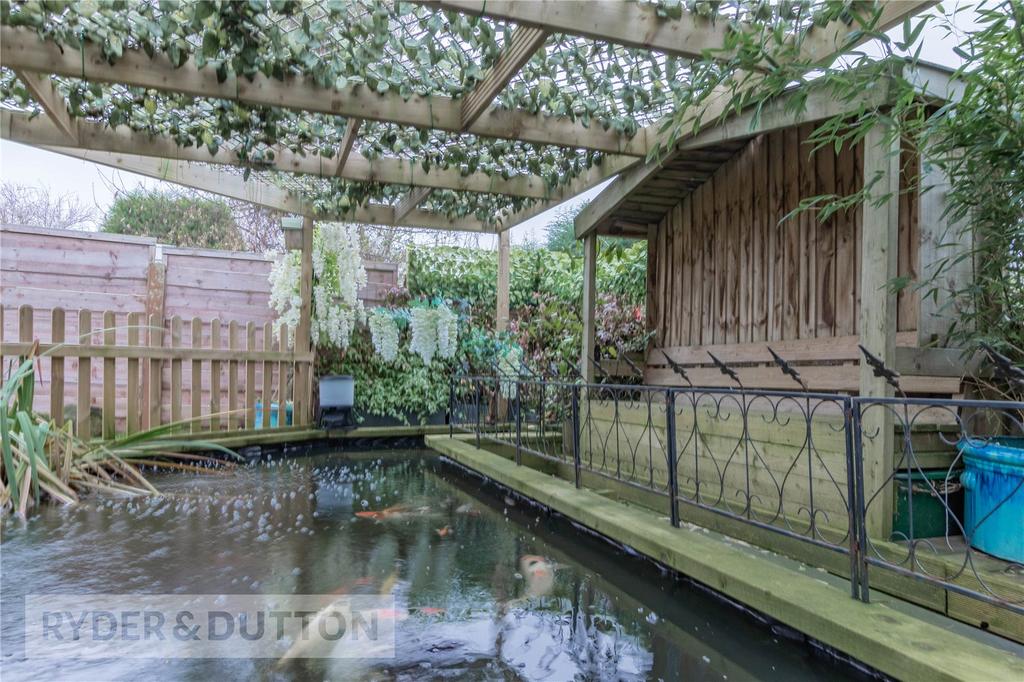 Pond