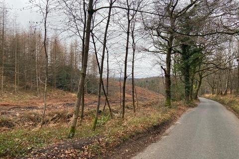 Land for sale - Haslemere - woodland for sale