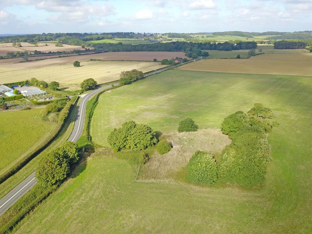 Dji 0520.jpg