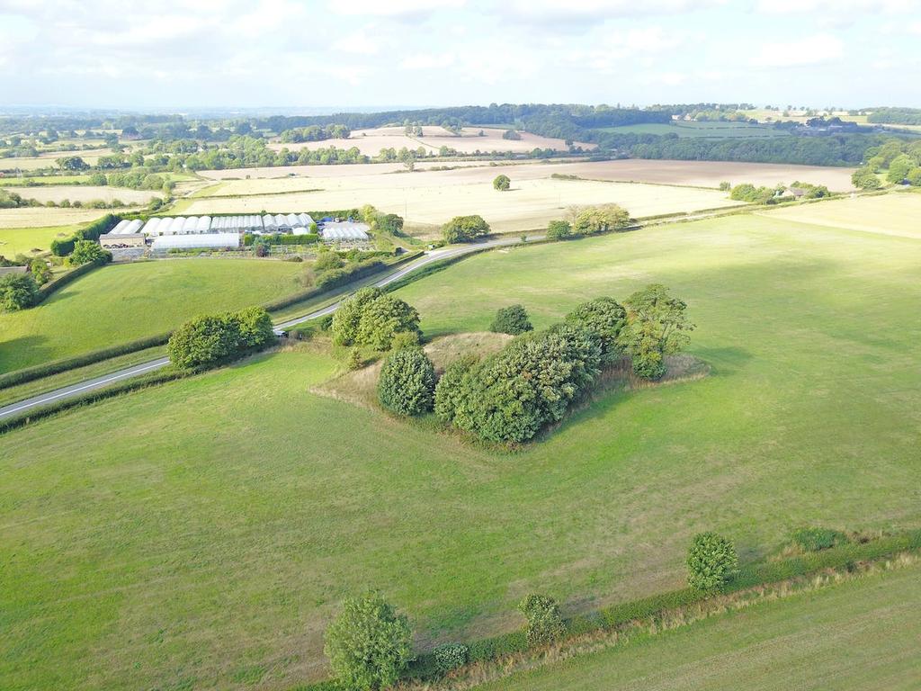 Dji 0524.jpg