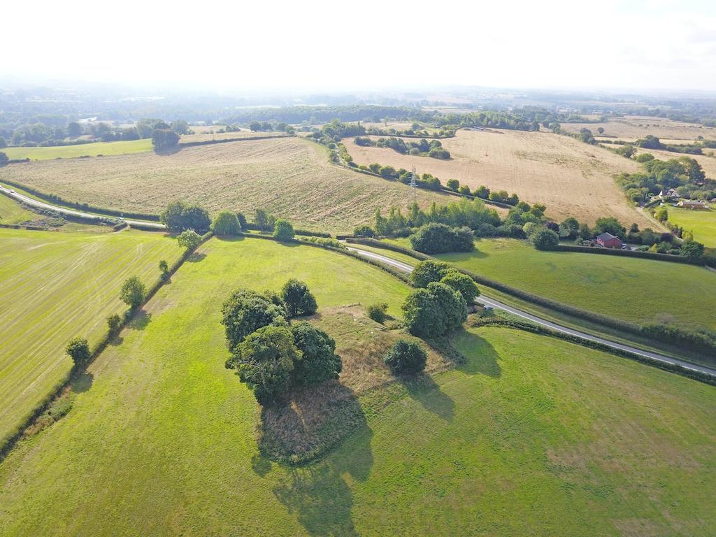 Dji 0528.jpg