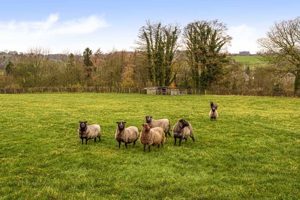 Countryside Living