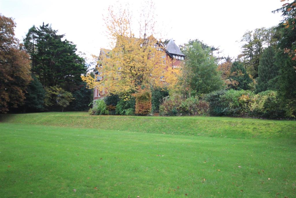Img 0465.jpg