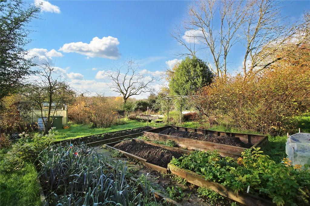 Fruit &amp; Veg Garden