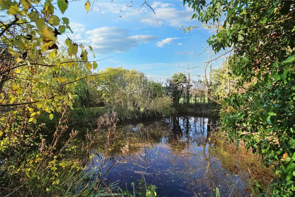 Garden Pond