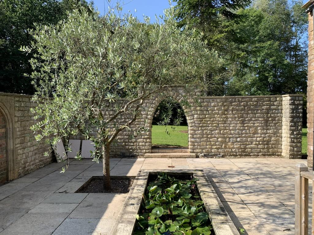 Courtyard and pond