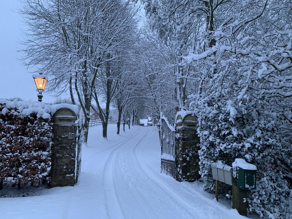 Snowy Gates