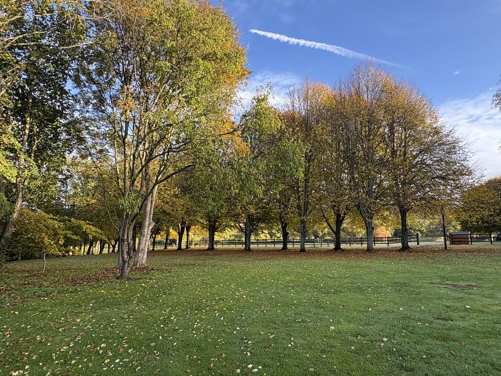 Grounds