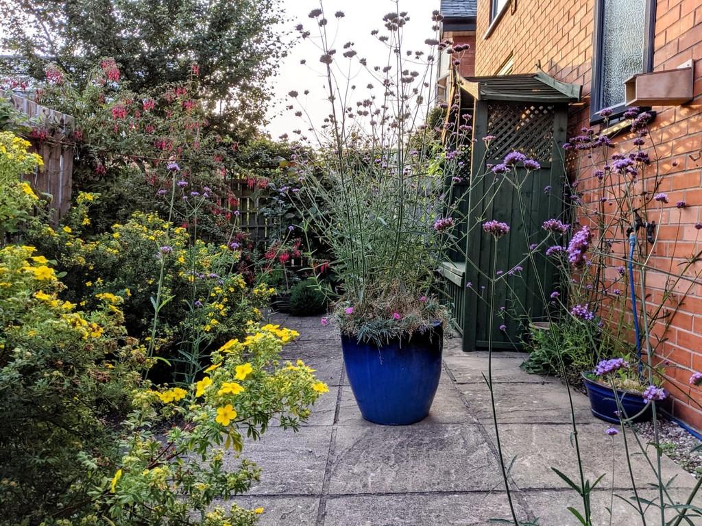 Garden in sept 2022