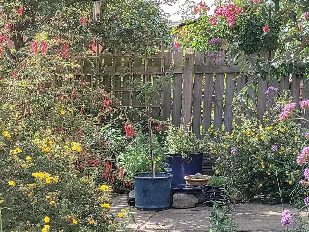 Garden in sept 2022