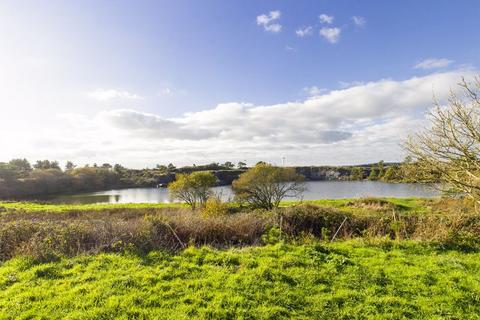 Land for sale, Countybridge Fishery, Goonhilly Downs, Helston, One-of-a-kind oasis