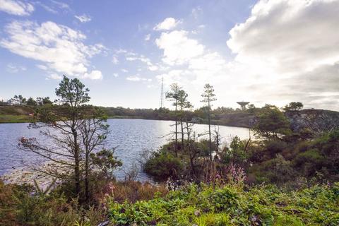 undefined, Goonhilly Downs, Helston, One-of-a-kind oasis