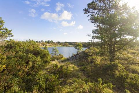 Land for sale, Goonhilly Downs, Helston, One-of-a-kind oasis
