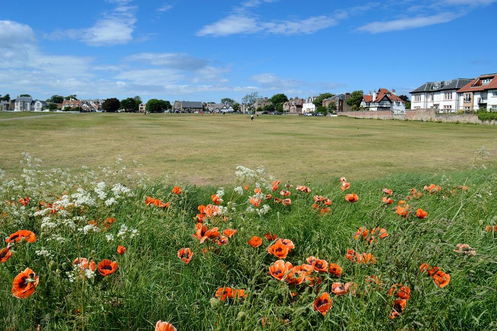 Saltcoats grange, gullane