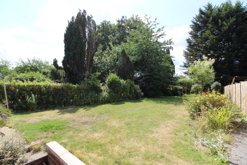 Photograph 25