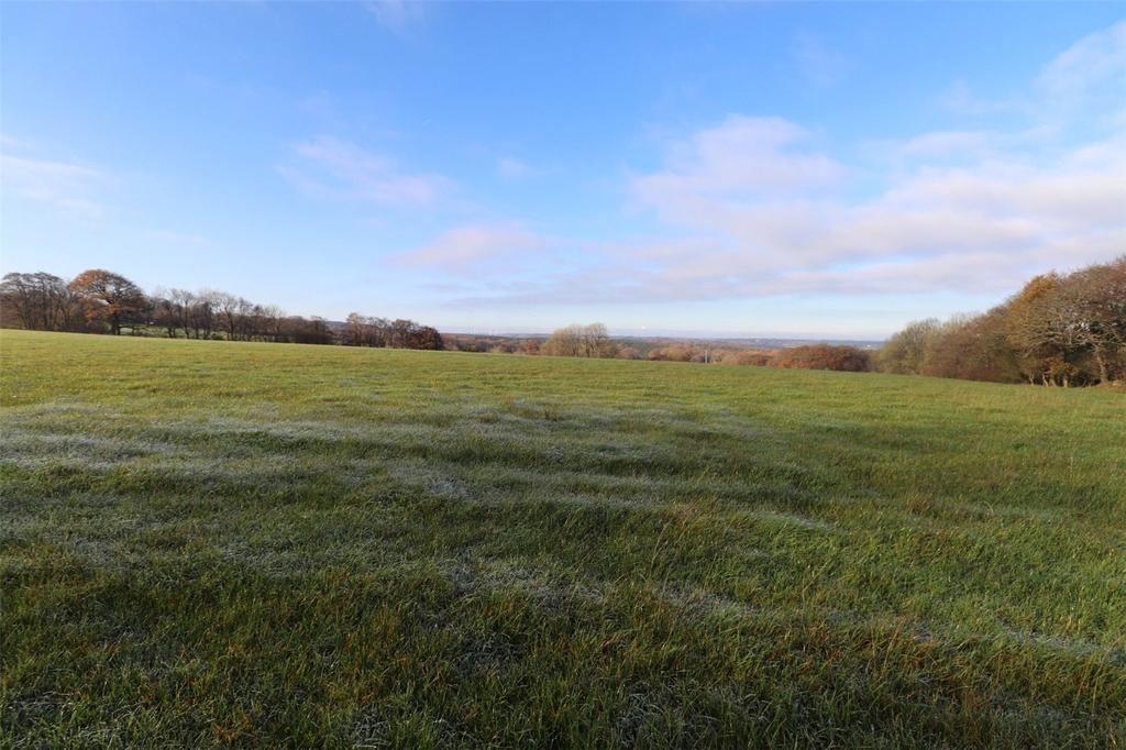Beaworthy, Devon Land for sale £135,000