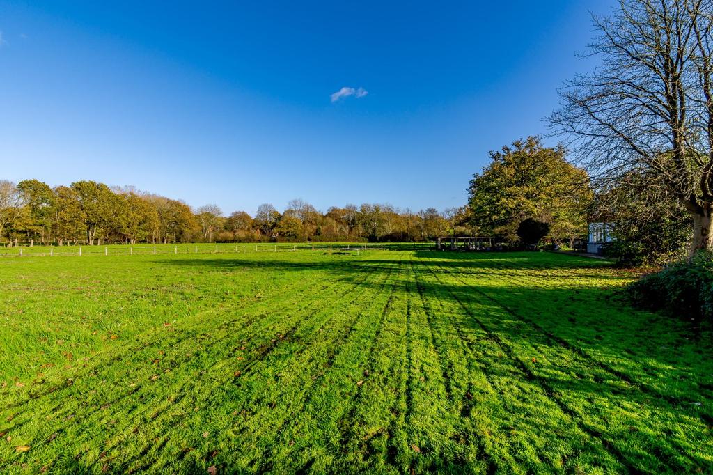 Lawns