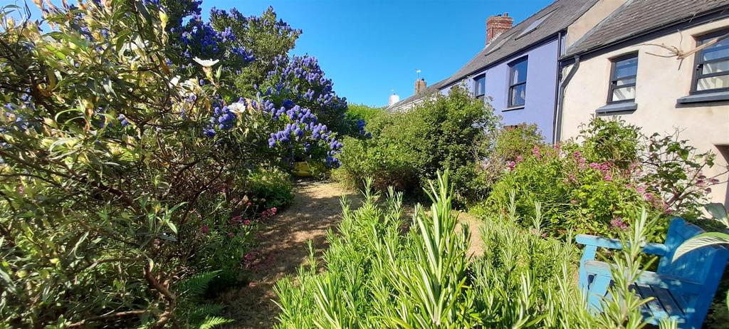 Another garden photo high street solva.jpg