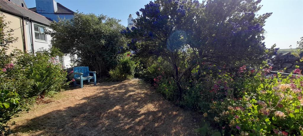And another garden photo high street solva.jpg
