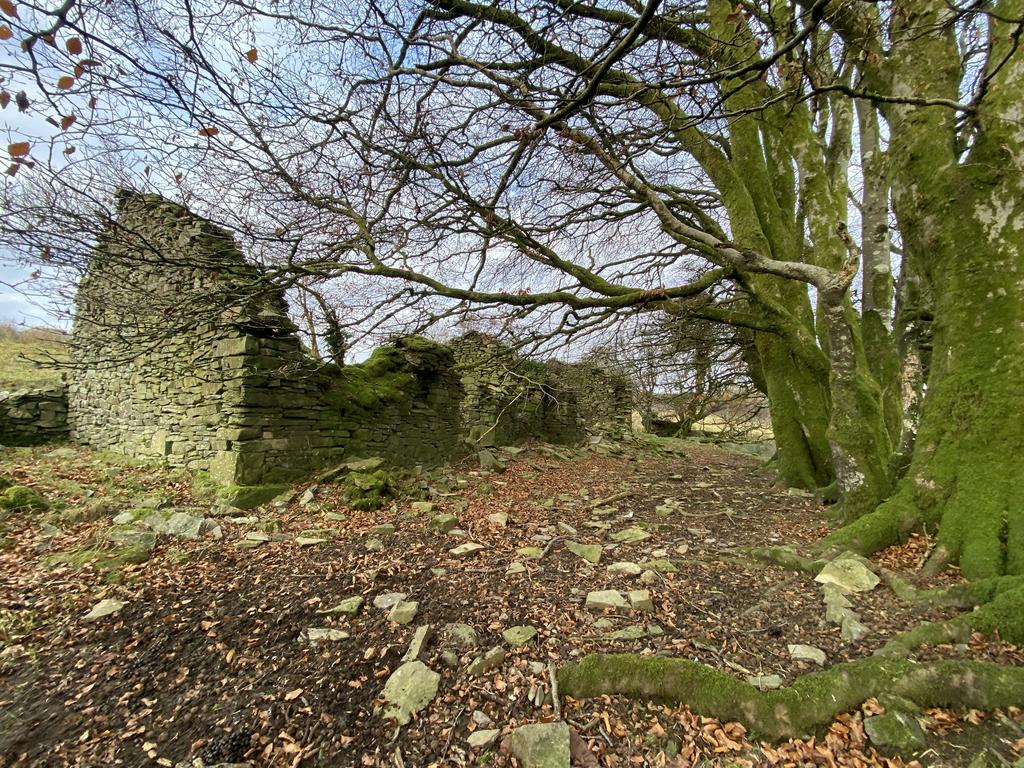 Waunwen Ruin