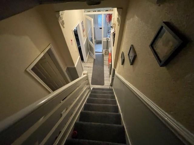 IMG17.jpg
