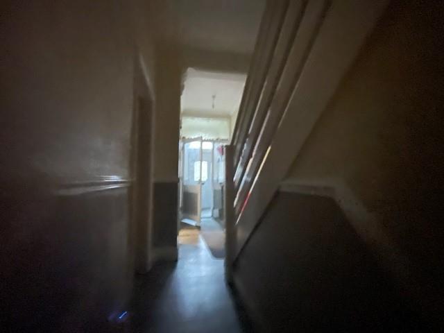 IMG06.jpg