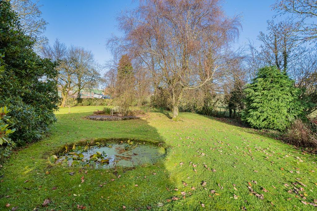 Old Rectory Pond