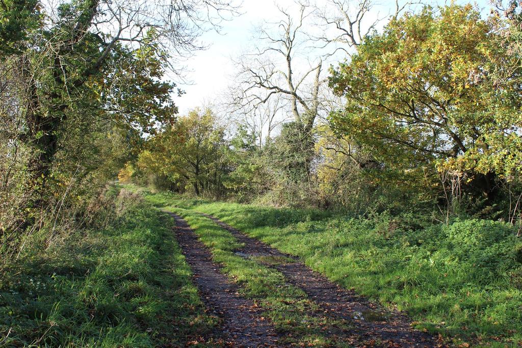 Sleights Lane, Hive, Gilberdyke, Brough Land for sale £43,000