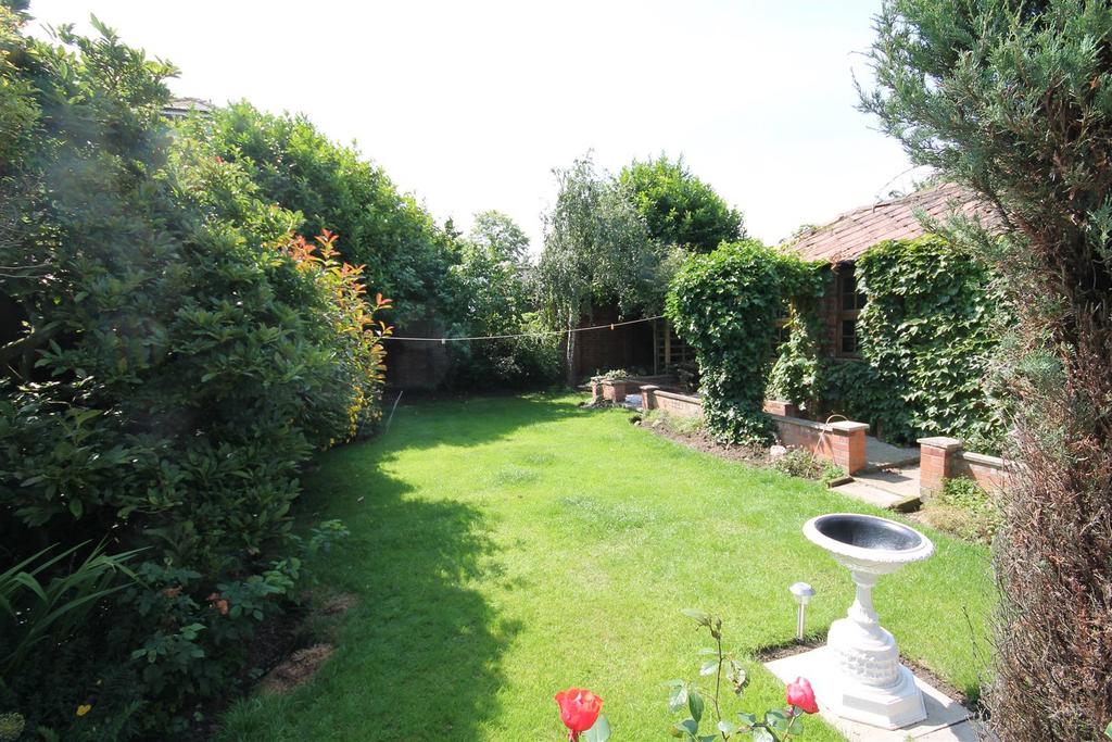 Garden Summertime