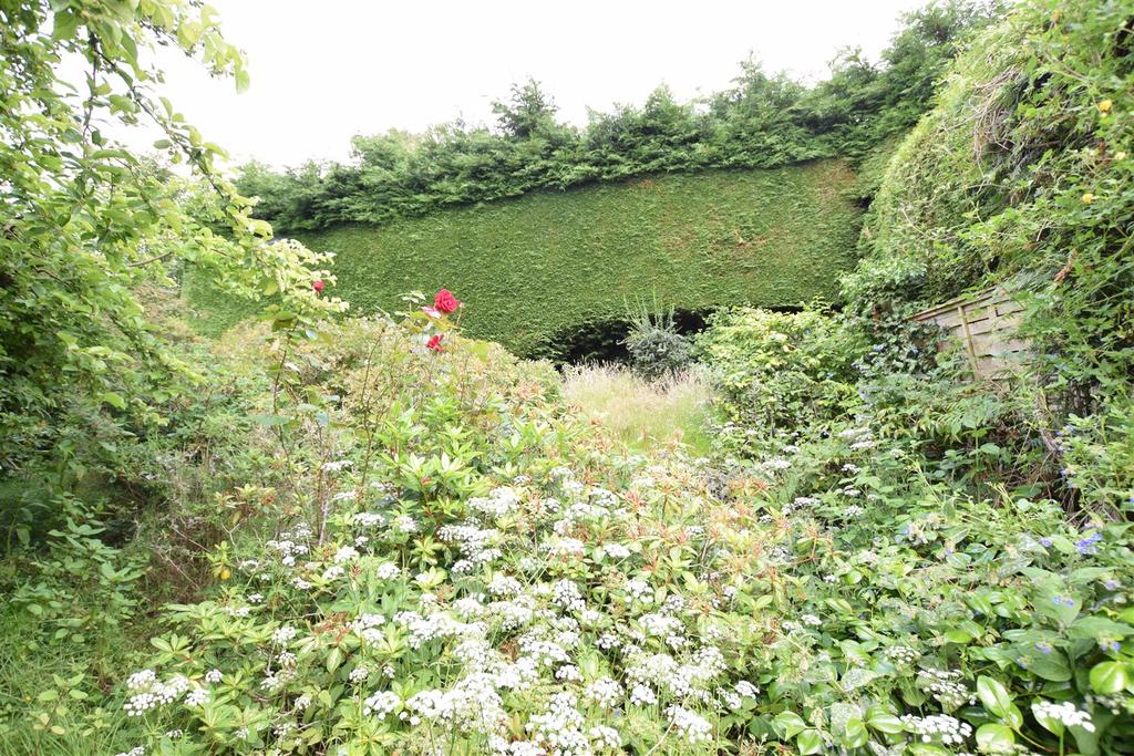 Garden four.jpg