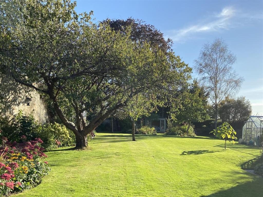 Garden in the Summer