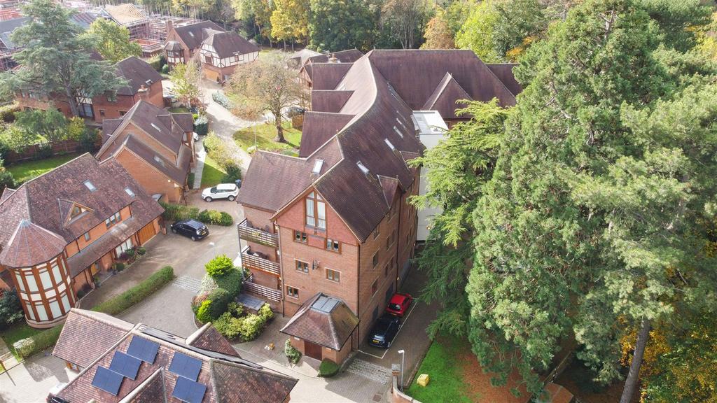 DJI 0703.jpg
