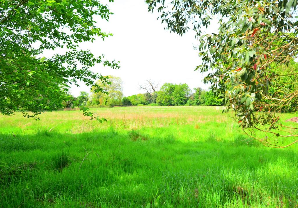 View To Fields