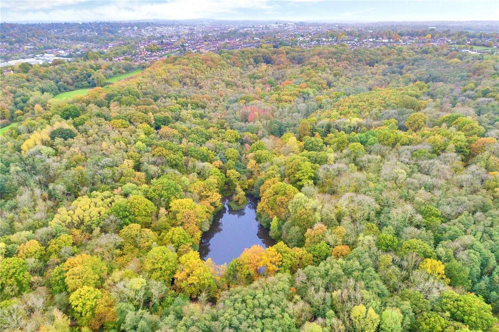 Drone Image