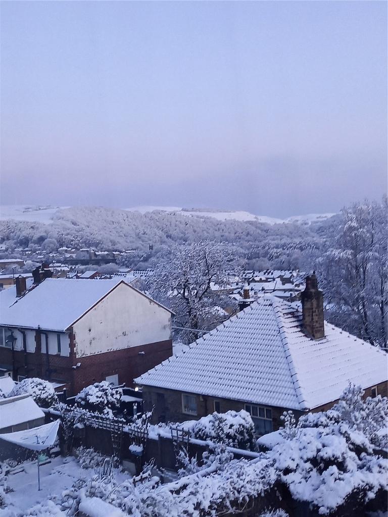 Winter Scene