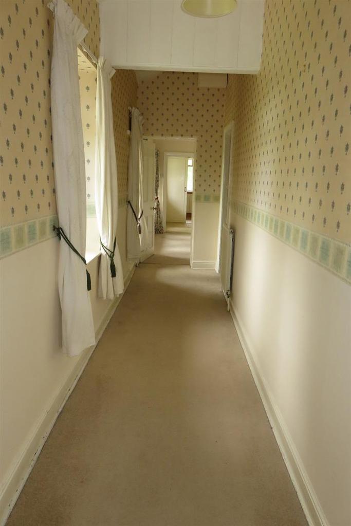 IMG 4817.jpg