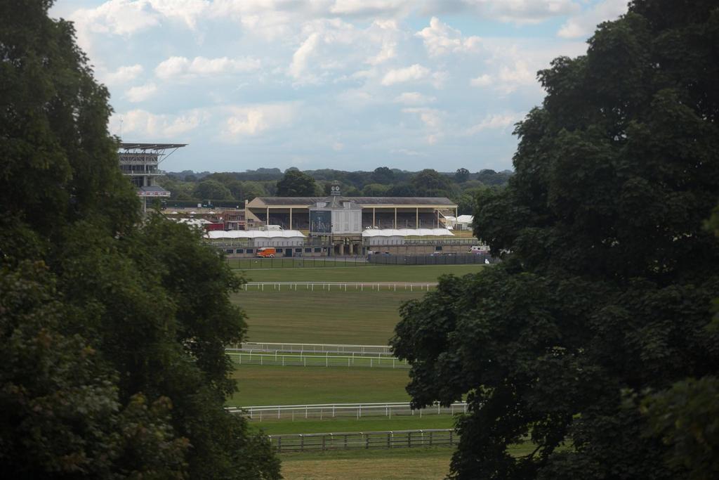 Knavesmire views