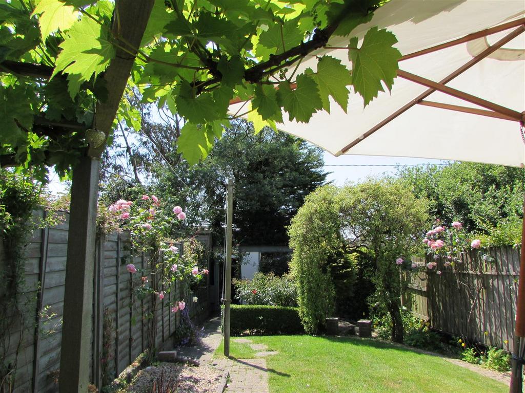 With Grape-Vine.JPG