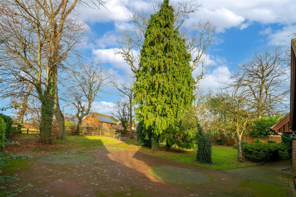 Driveway