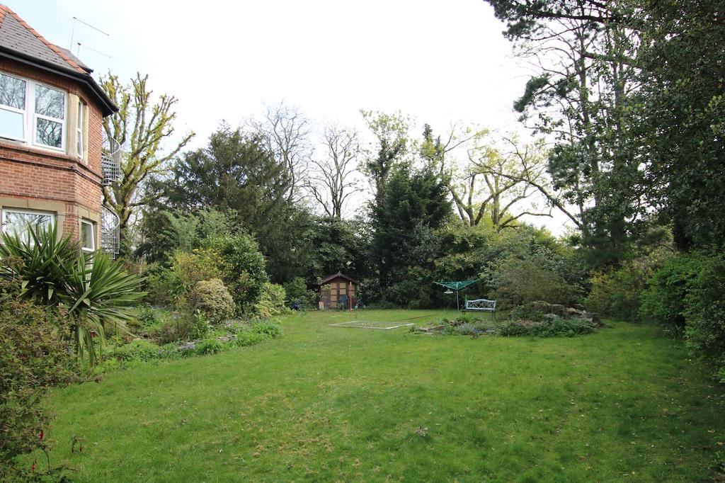 Img 6435.jpg