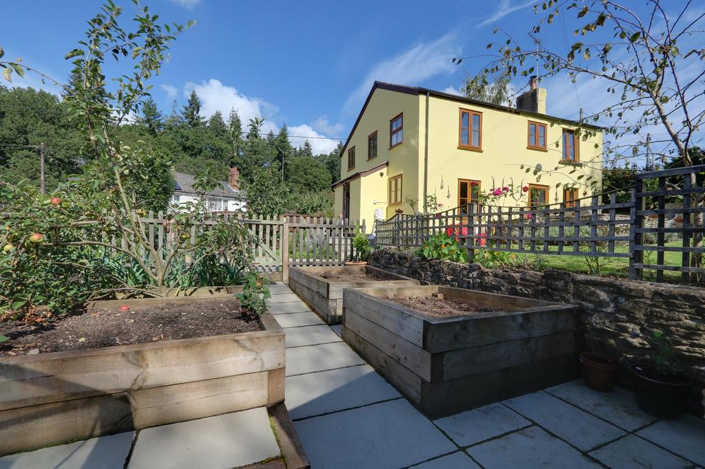 Vegetable Garden