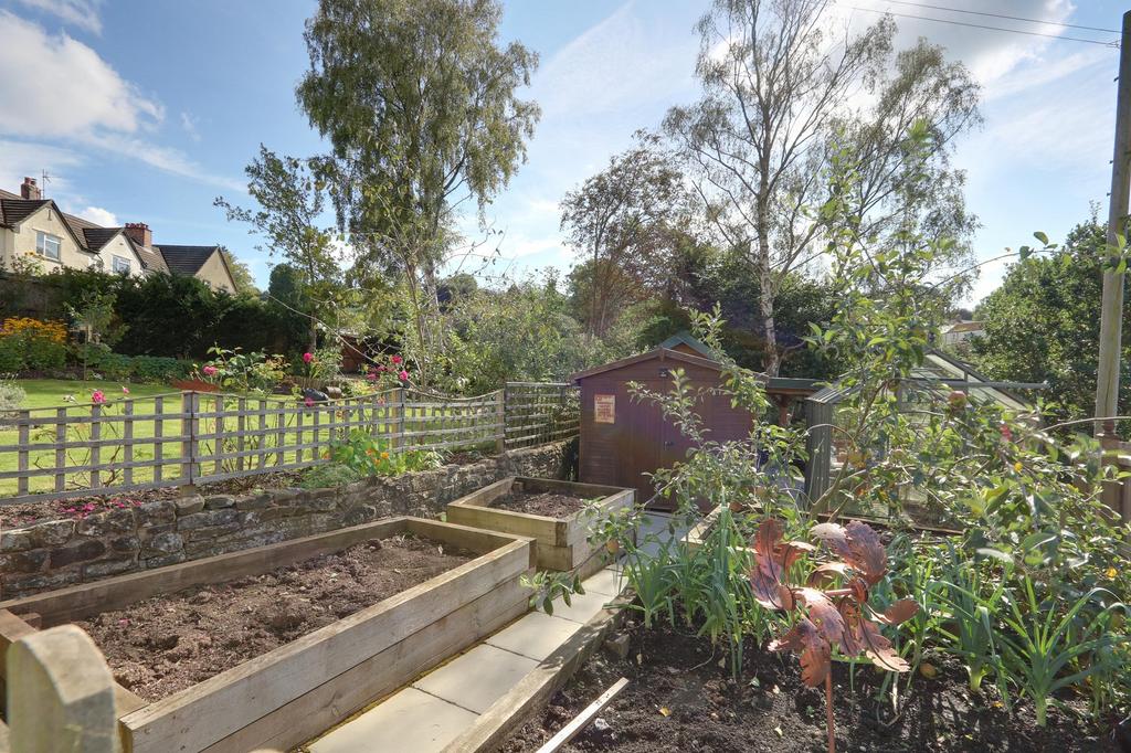 Vegetable Garden