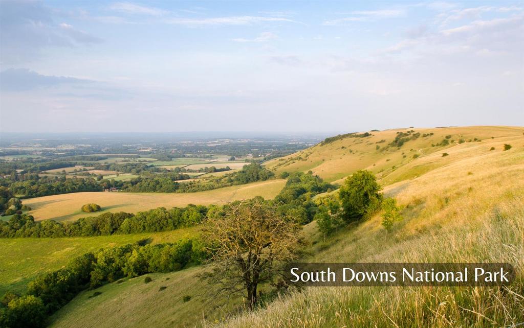 South Downs National Park