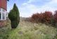 Dsc04475.jpg