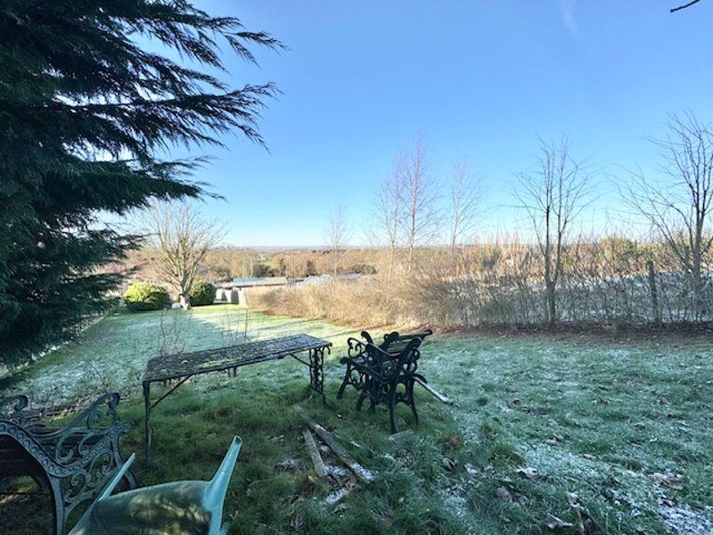 View to garden and