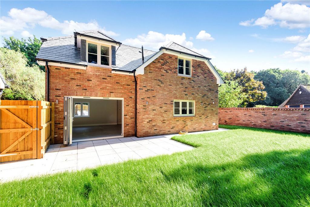 Rear Elevation