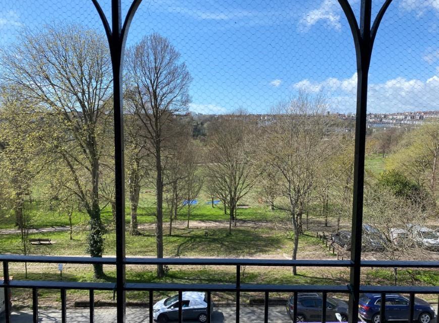 New view summer.jpg
