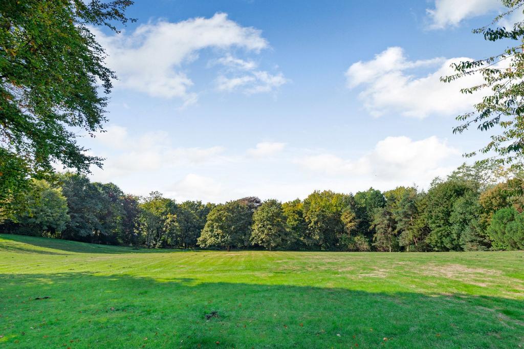 Grounds