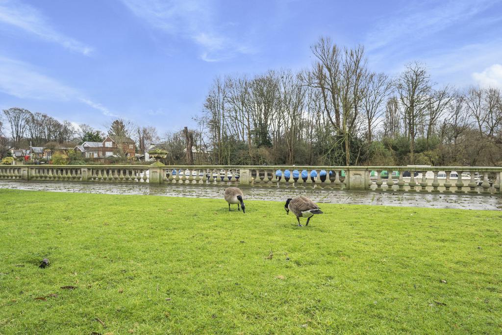 Communal Gardens