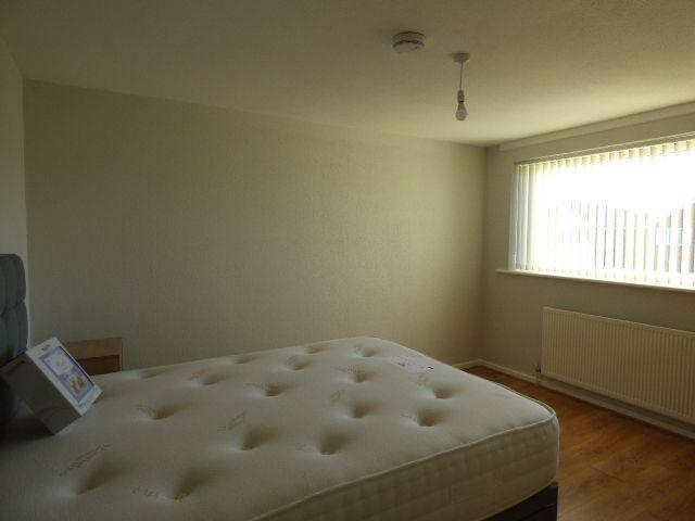 Photograph 9